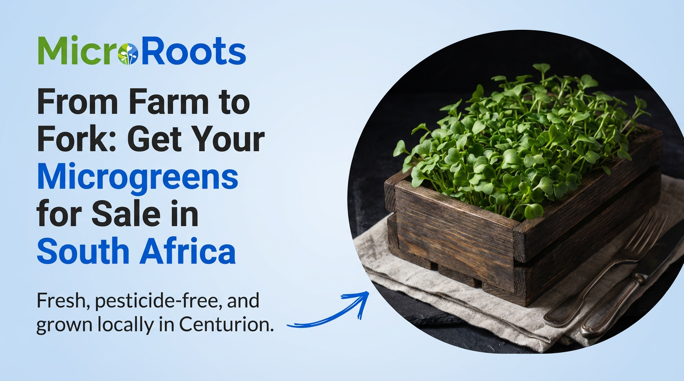 Microgreens for Sale in South Africa