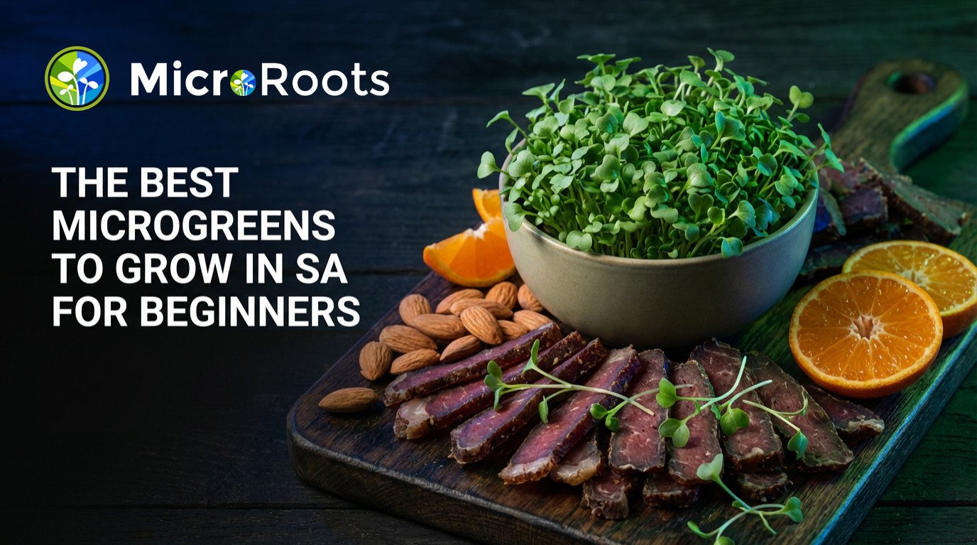 The Best Microgreens to Grow in SA for Beginners