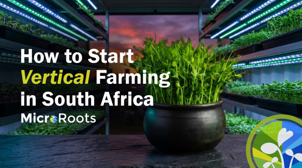 Vertical Farming in South Africa