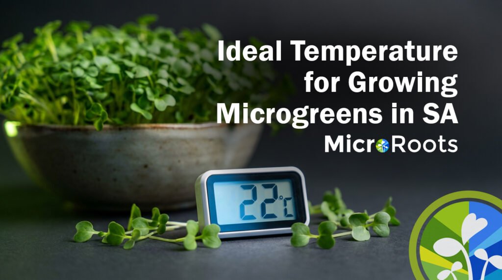 Ideal Temperature for Growing Microgreens in SA